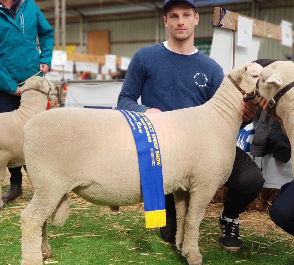 Champion Ram, Sheepvention 2018