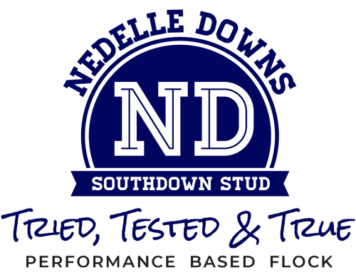 Nedelle Downs Southdown Stud | Tried, Tested & True