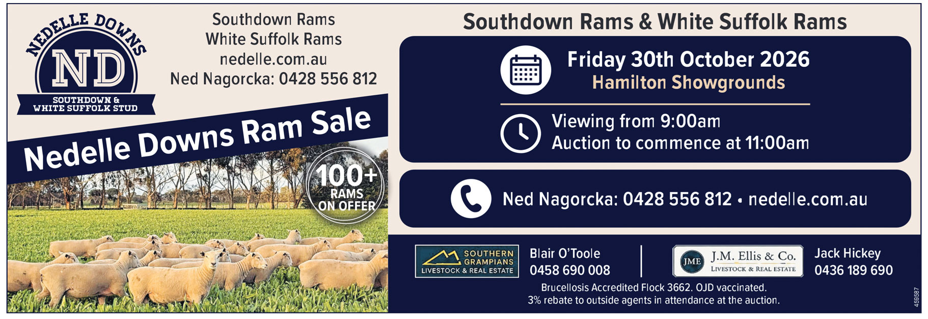 Sale-Header Sale-Header